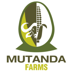 Mutanda Farms ltd