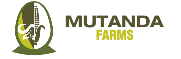 Home - Mutanda Farms