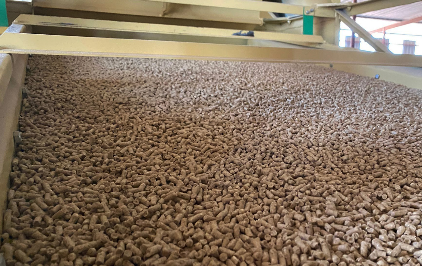 Stock Feeds Mutanda Farms